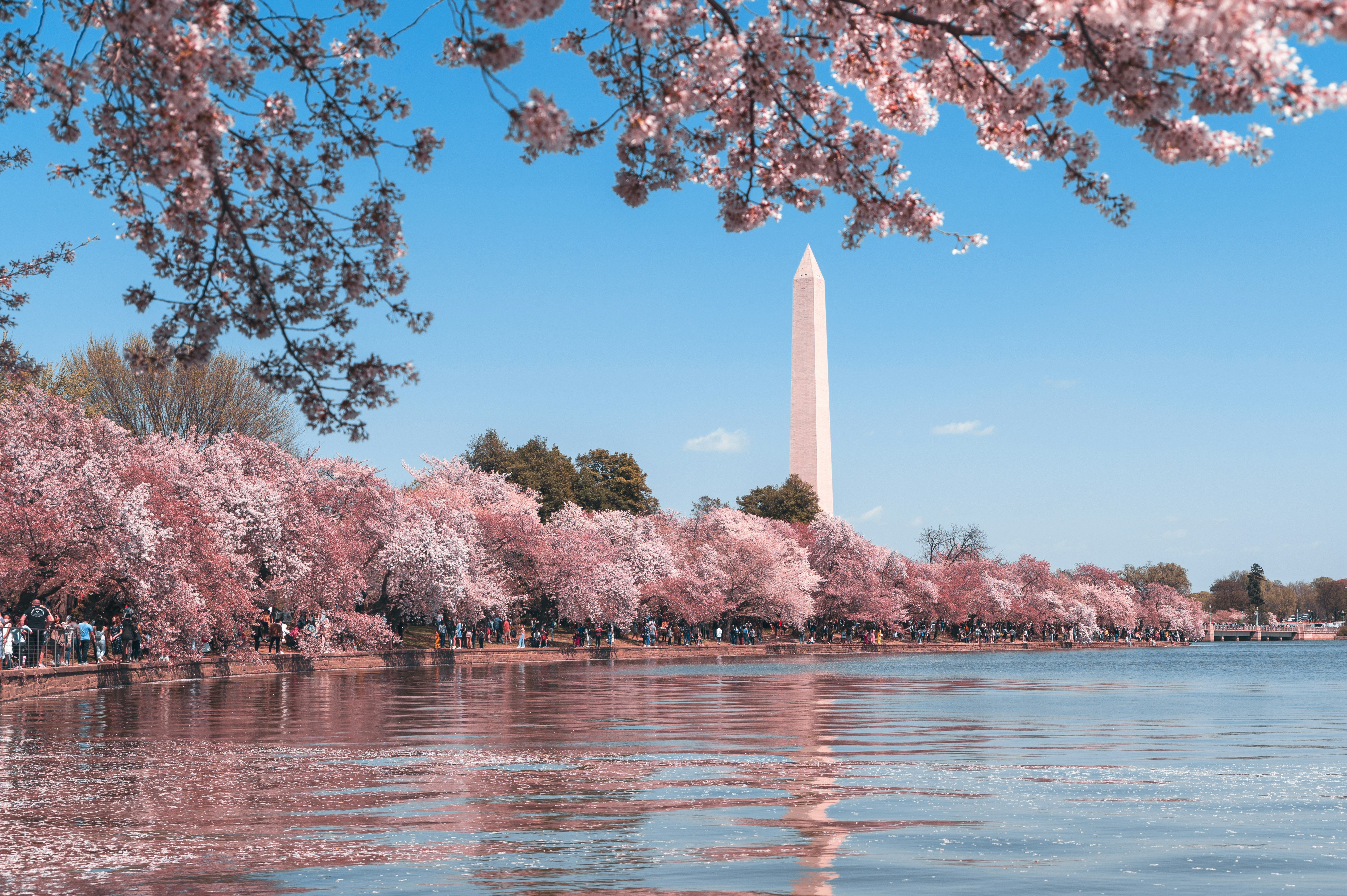 RF Engineering Jobs in Washington DC, Northern Virginia, and Maryland